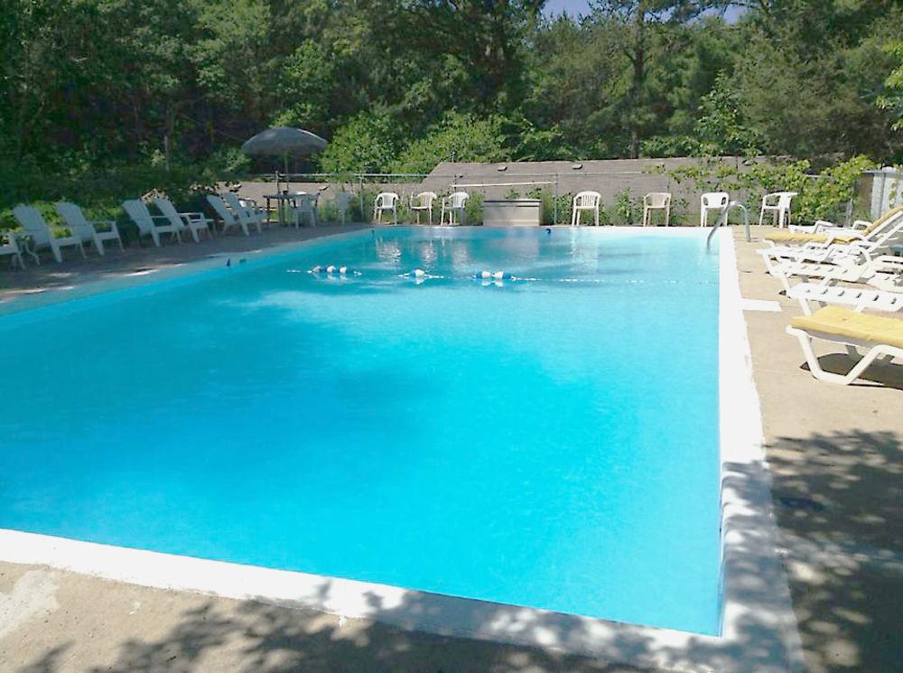 Vista Piscina Silver Spruce Resort
