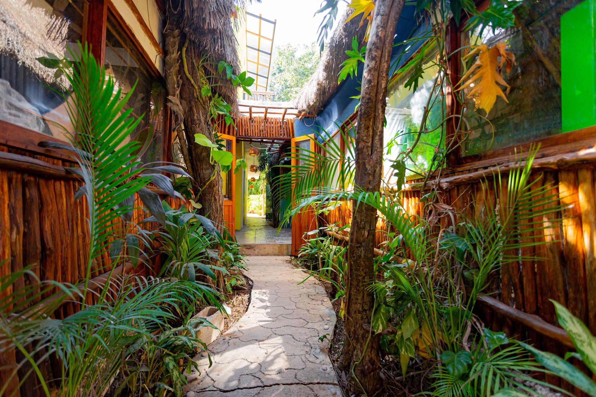 Vista Exterior Hotel Carlitos Tulum