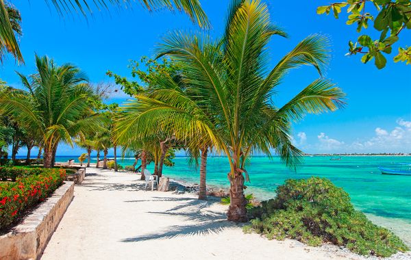 Escápate a la aventura de conocer Akumal