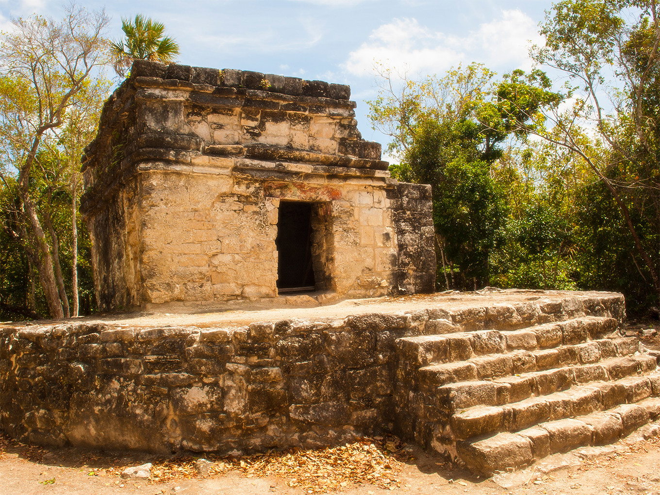 Paquetes de Viajes a Cozumel | Despegar