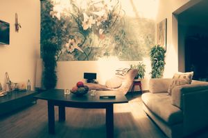 Alojamiento - Casa Areka Costa Rica