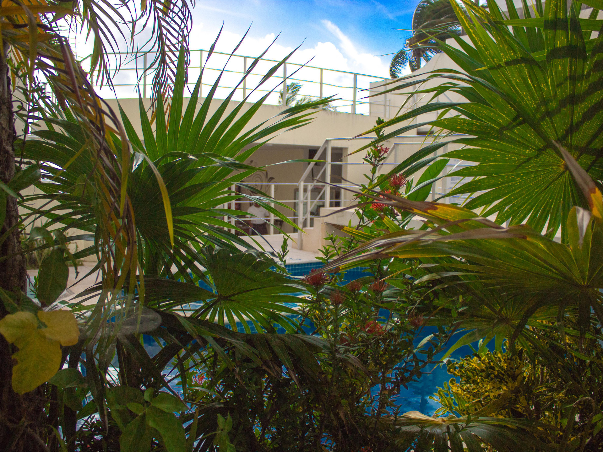 Vista Exterior Playa Maya by MIJ