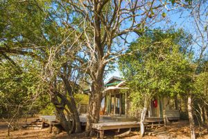 Alojamiento - Thornwood