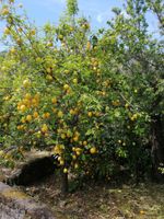 Alojamiento - Mario Relais