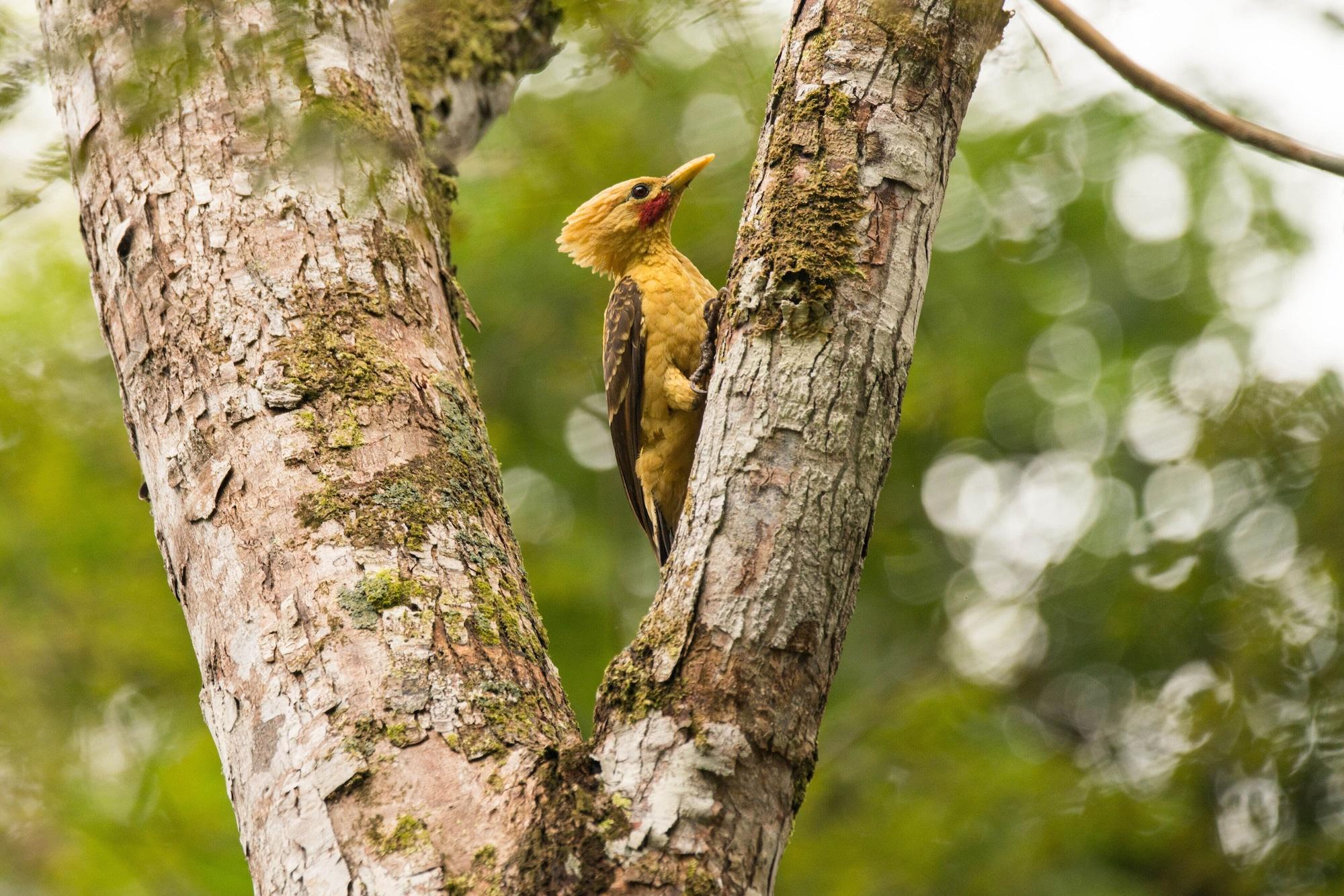 Vista Exterior Curuhuinsi Lodge
