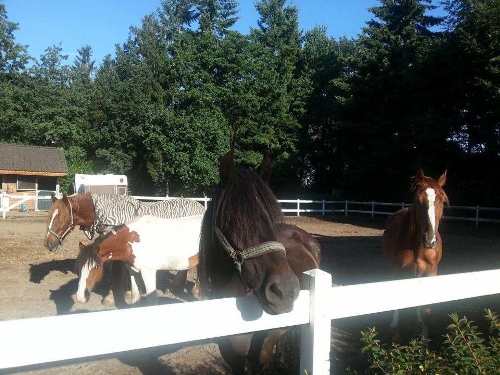 Instalaciones Recreativas B&B De Poppelse Hoeve