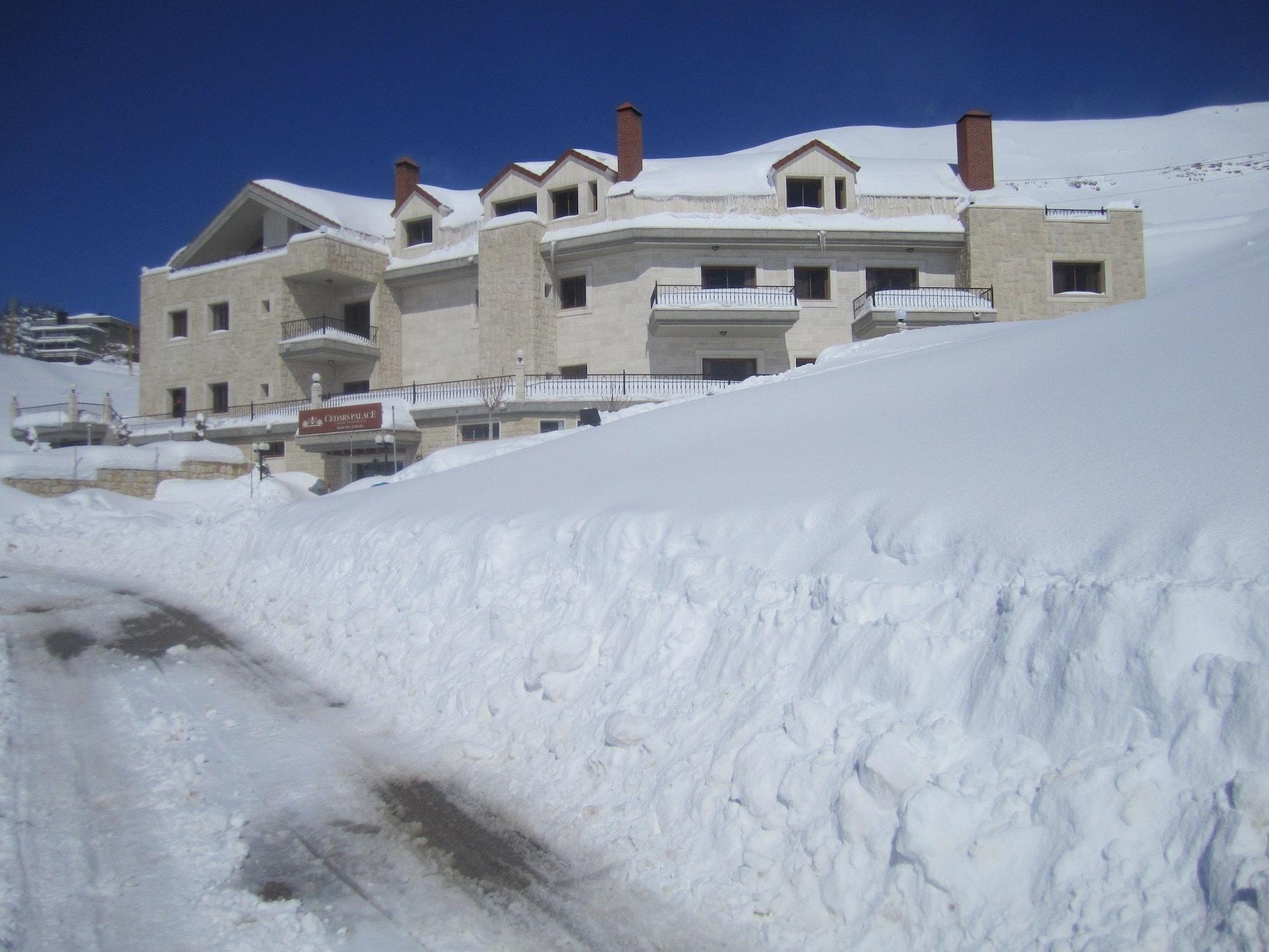Vista Exterior Cedars Palace