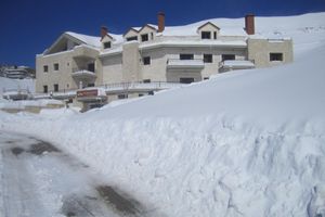 Alojamiento - Cedars Palace