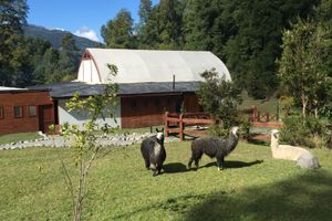 Alojamiento - Lemu Lodge Caburgua