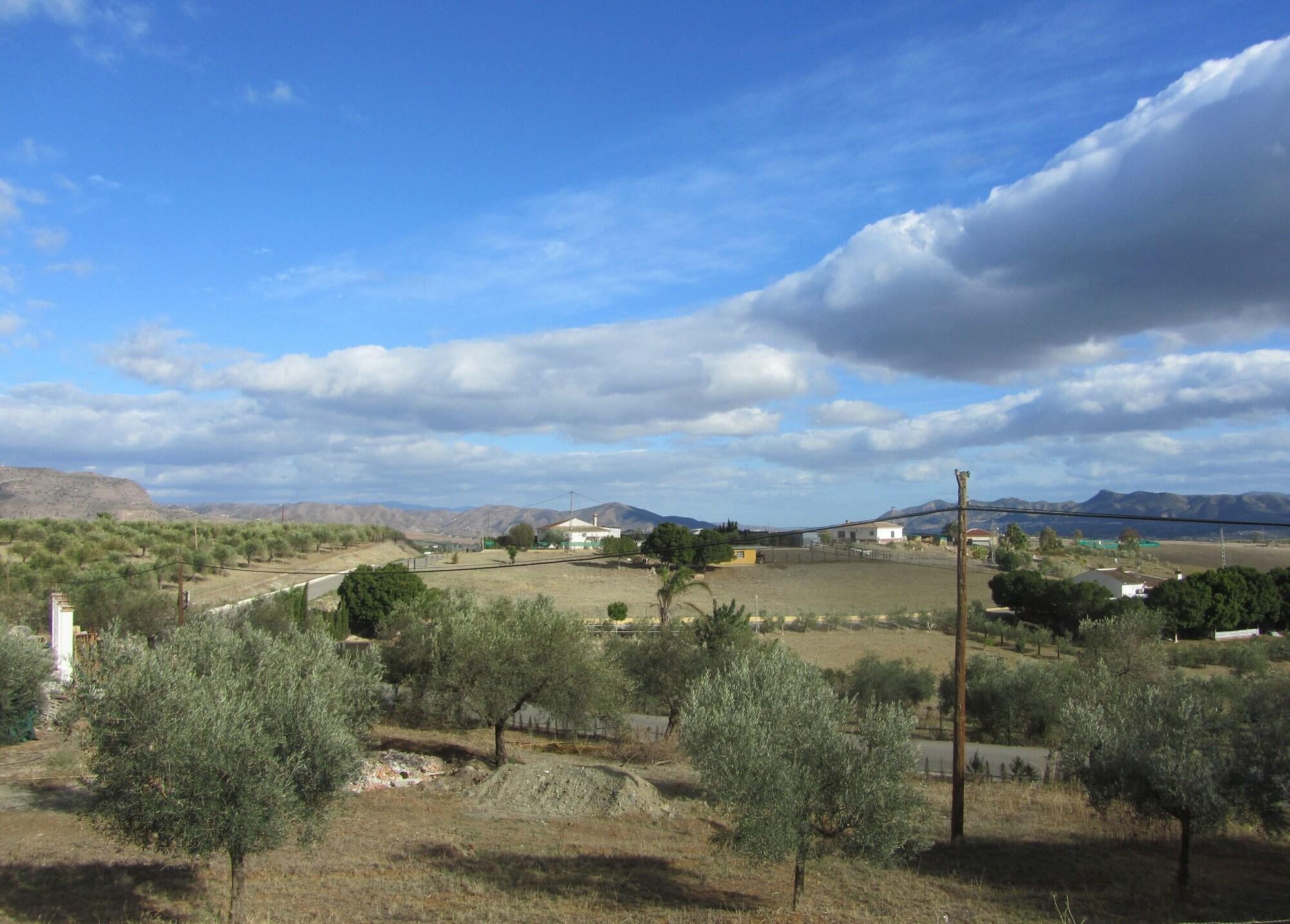 Comodidades del Alojamiento La Casa Palmera - Caminito Del Rey