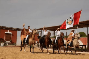 Actividad - PIK - Desde Trujillo: Tour Caballos de Paso
