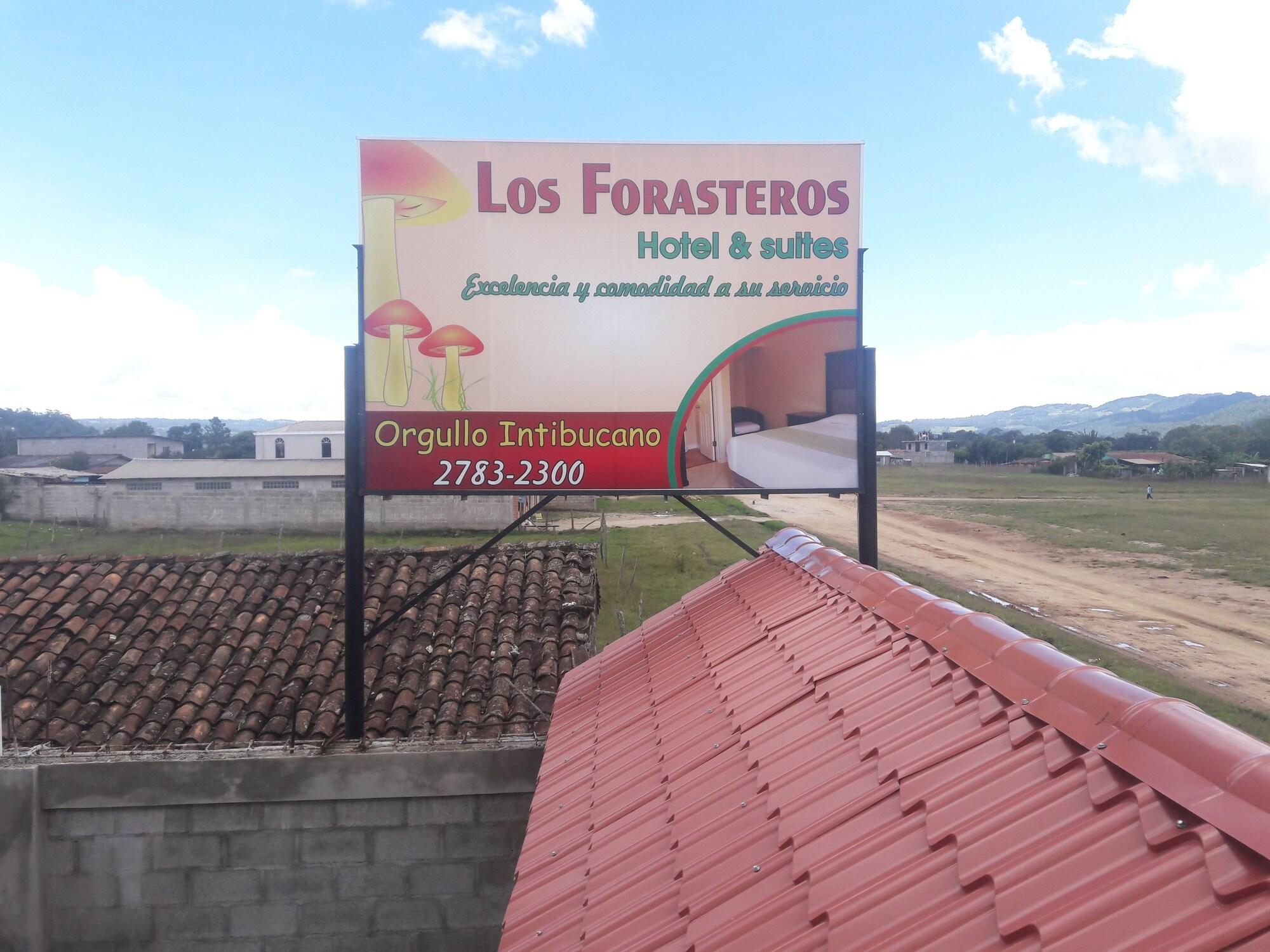 Habitación Hotel Los Forasteros