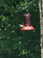 Alquiler Vacacional - Beautiful lake front house