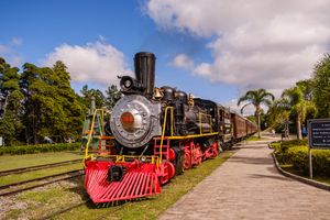 Actividad - Paseo en tren de vapor con y sin almuerzo.
