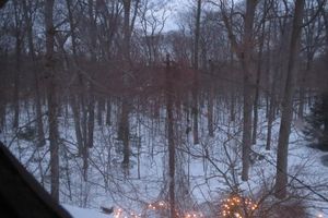Alquiler Vacacional - Lake Michigan 1945 Log Cabin Cottage home
