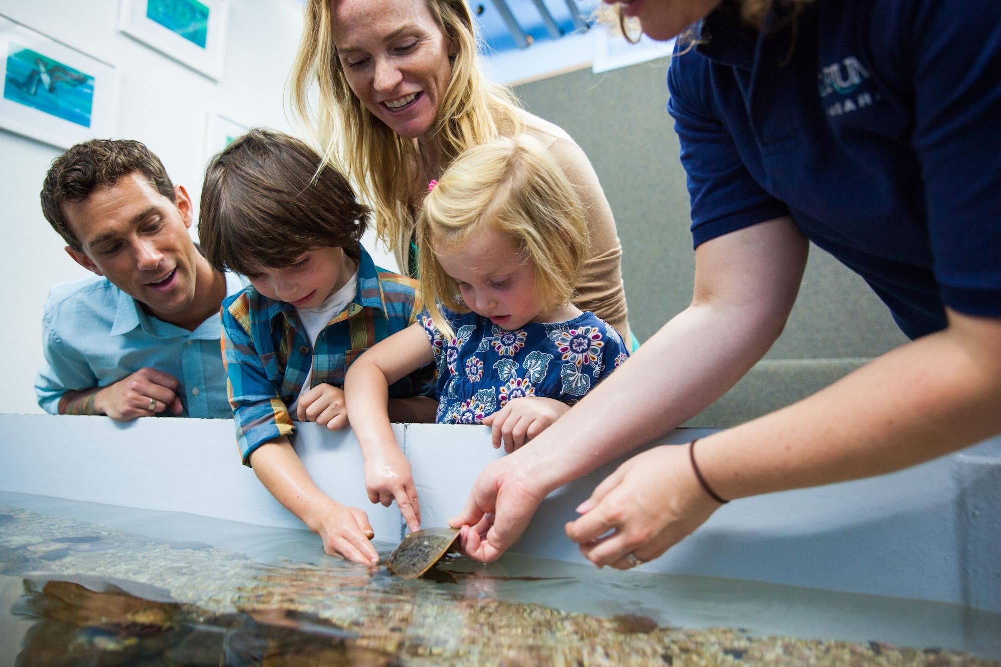 Instalaciones Recreativas voco Niagara Falls - The Cadence by IHG