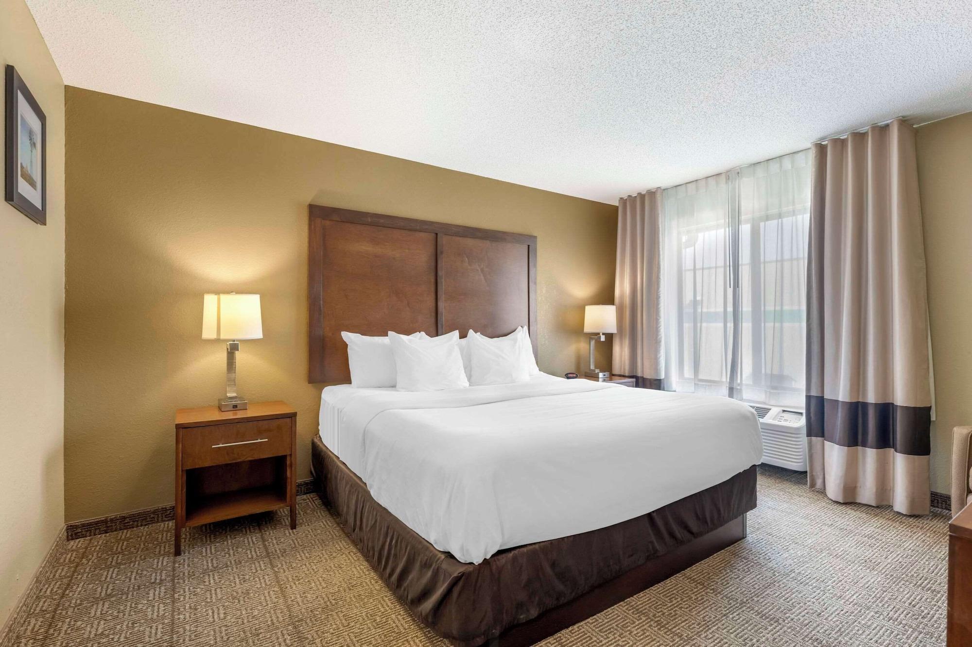 Habitación Comfort Inn Lexington