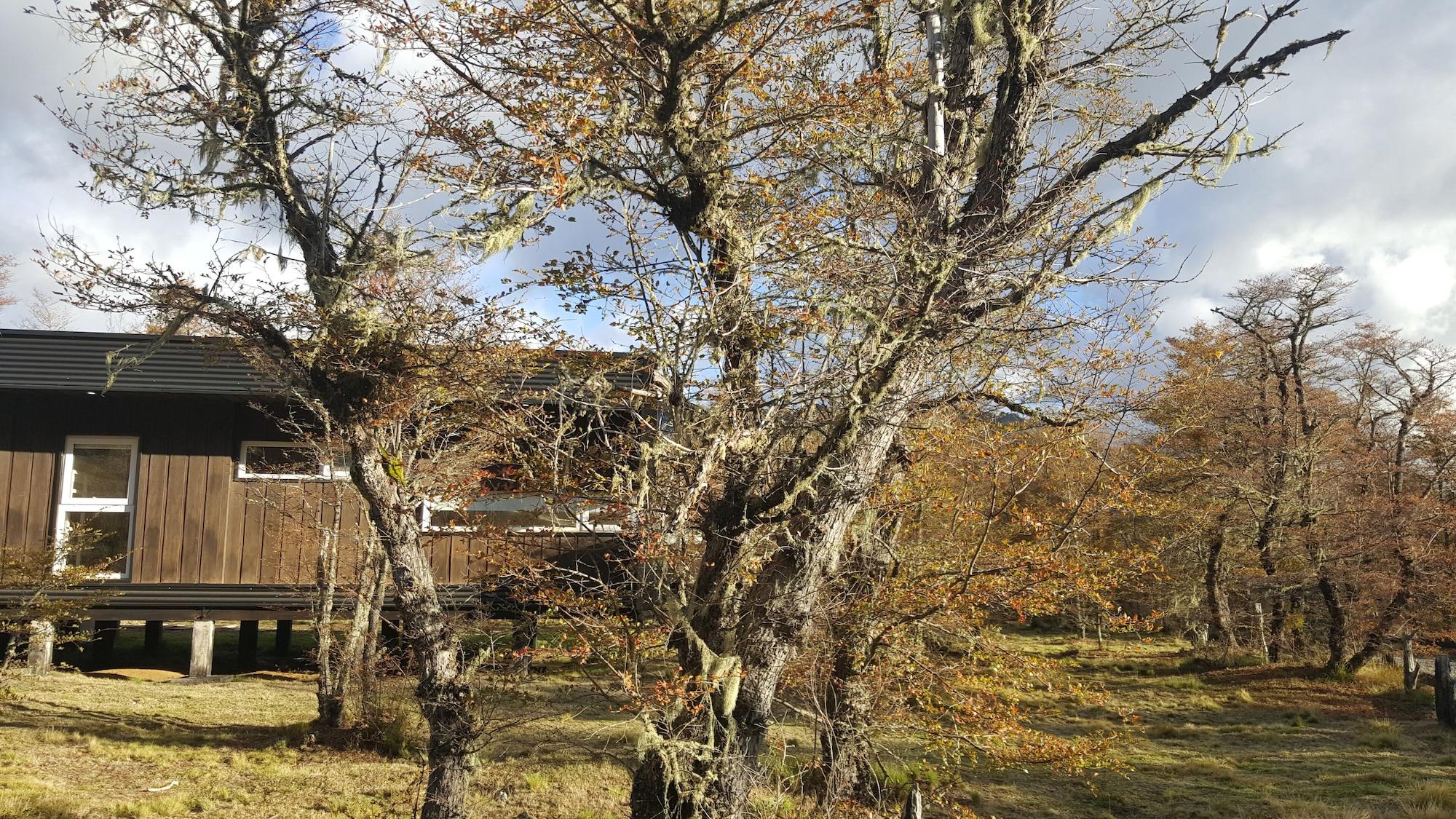 Vista Exterior Endemiko