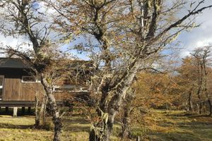 Alojamiento - Endemiko