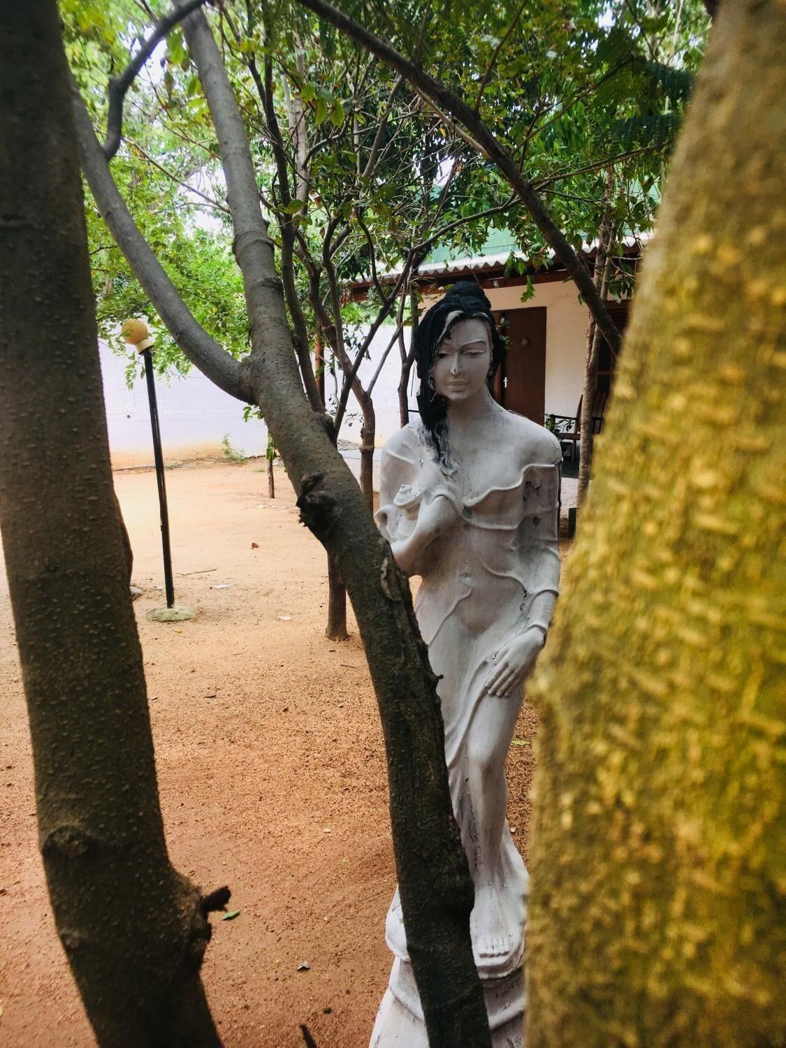 Vista Exterior Alikele Hotel Sigiriya