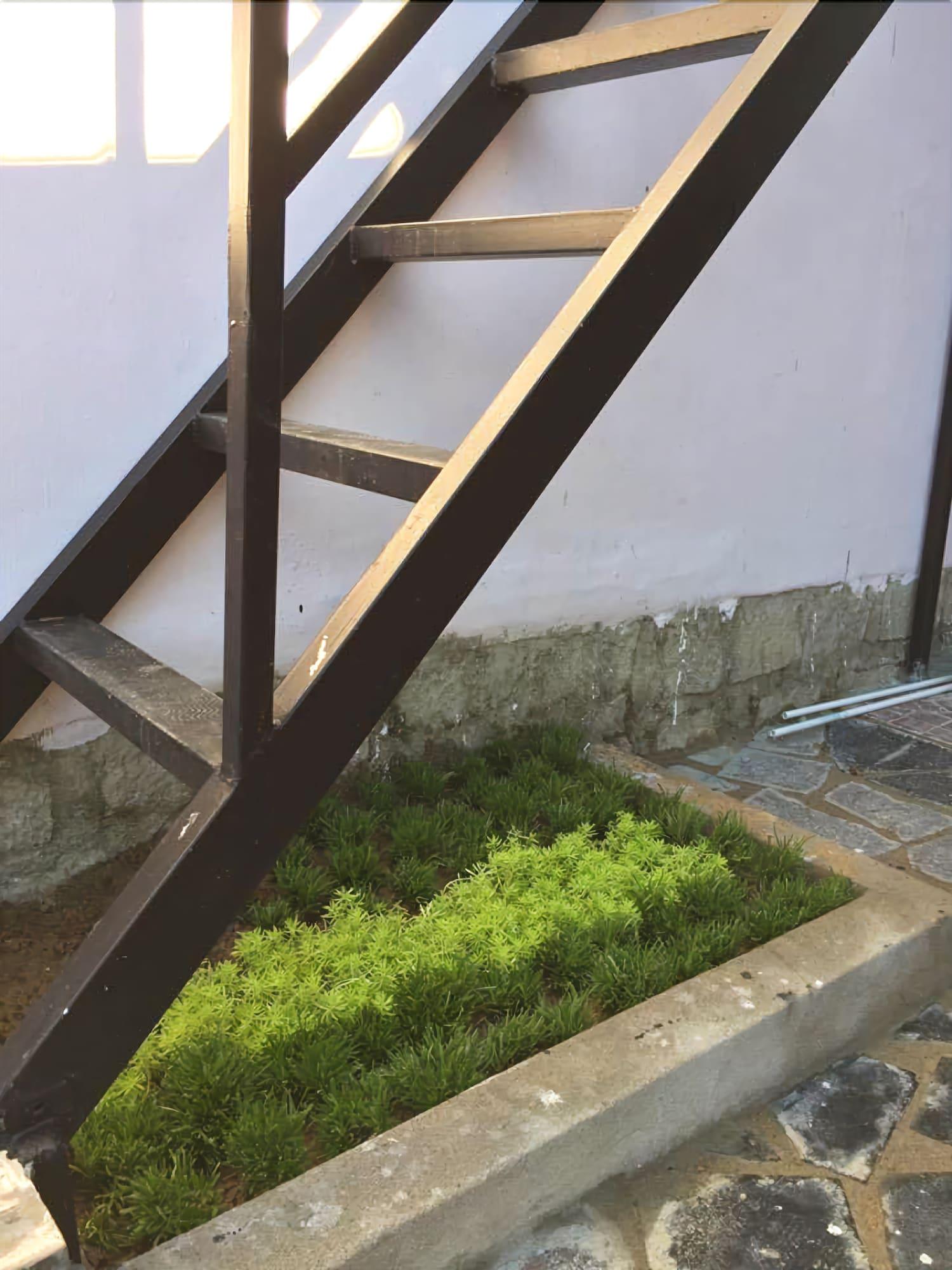 Comodidades del Alojamiento Venus Homestay Phu Yen - Hostel