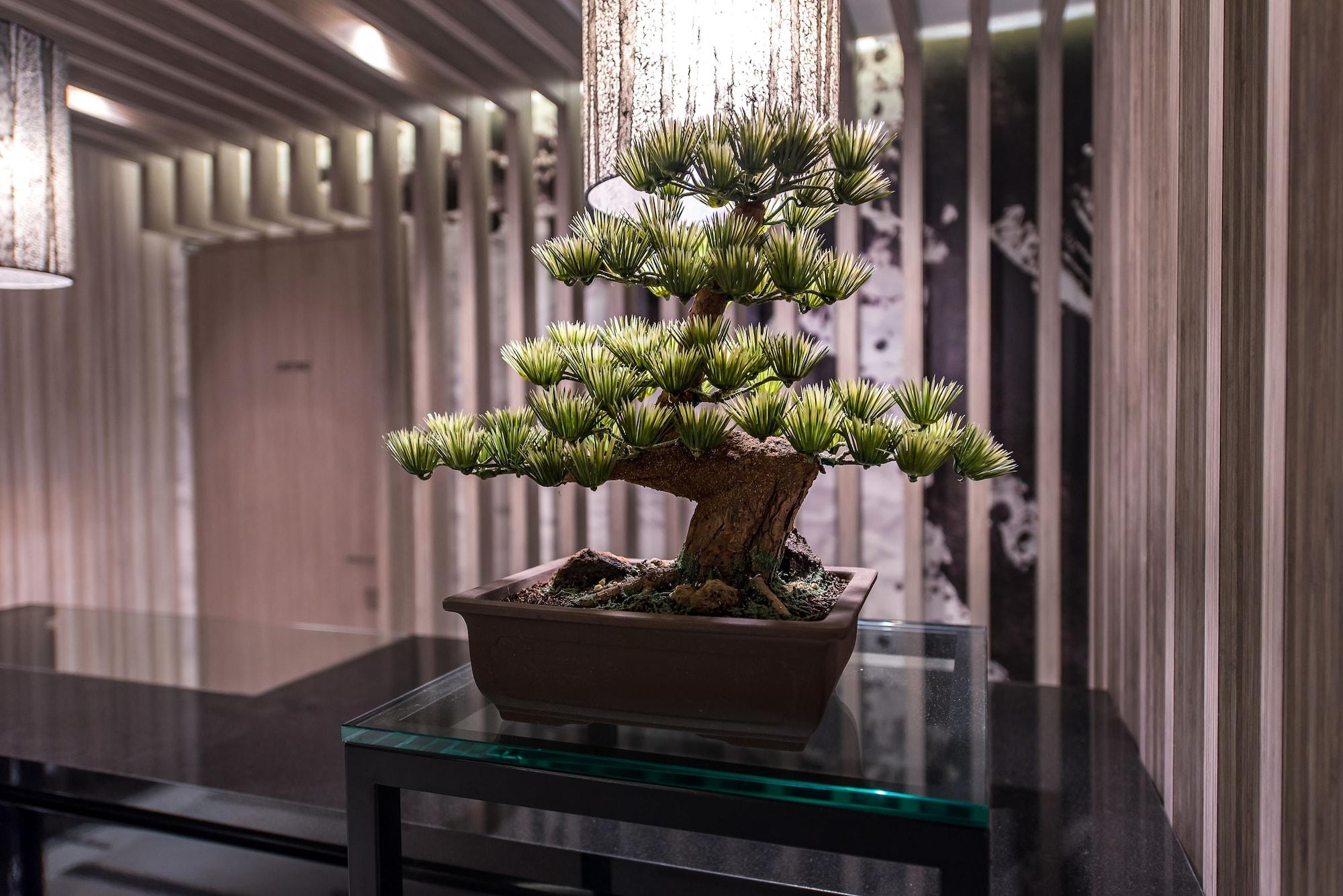 Comodidades del Alojamiento Hotel Ann Asakusa