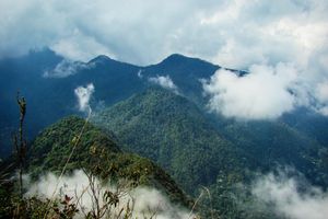 Actividad - Descubre el Ecoparque del Río Pance – Tour de medio día
