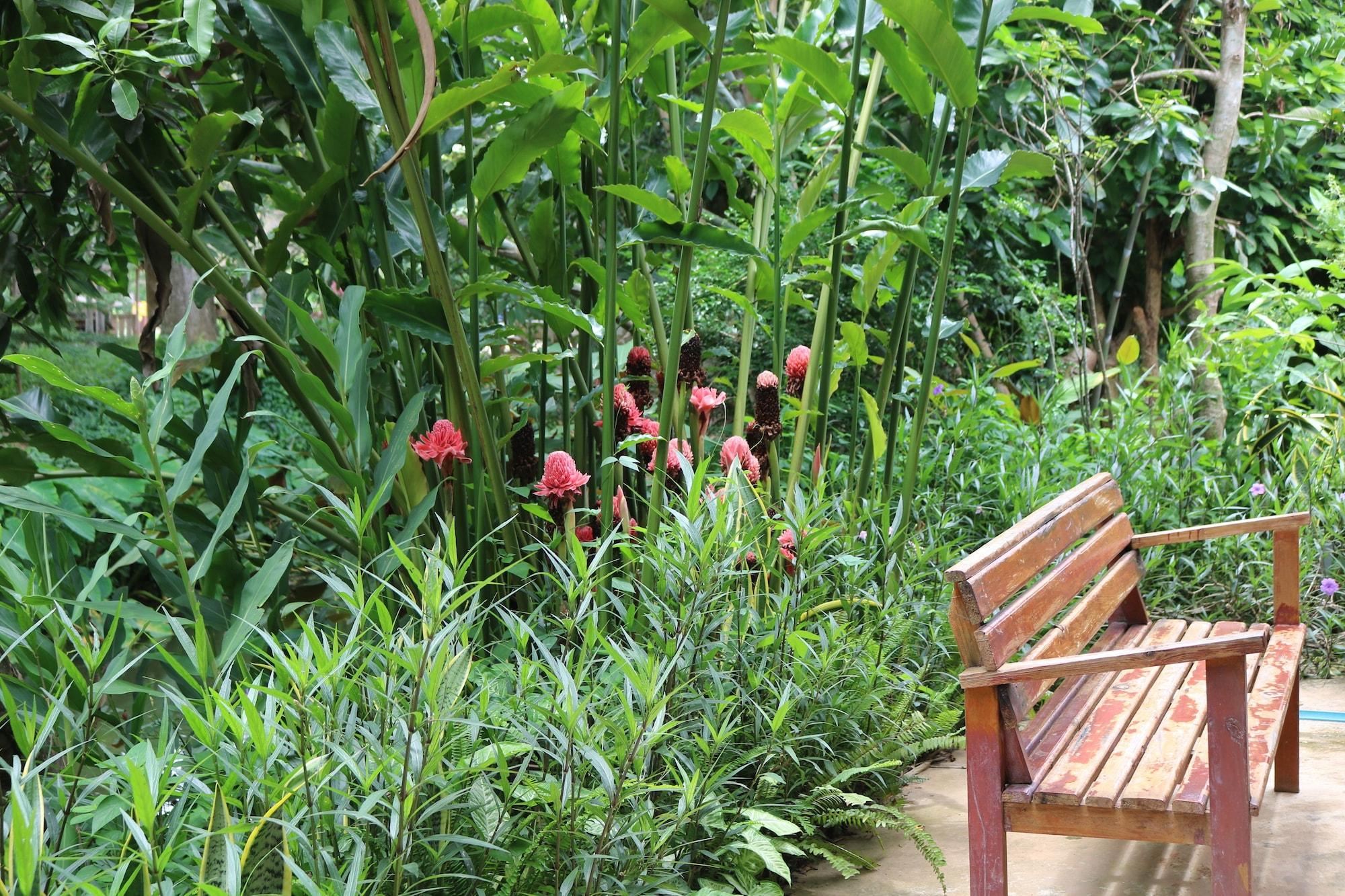 Equipamiento de Habitación Ui Bai Valley