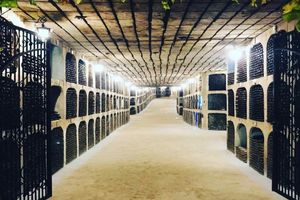 Actividad - Tour a pie por Chișinău y bodega Milestii Mici con cata de vinos - Tour privado