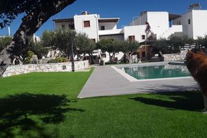 Alojamiento - Sunset Studios & Apartments - Adults Only