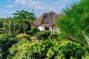 Alojamiento - Cterra Zanzibar Beach Resort