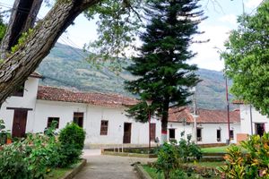 Actividad - Excursión a Páramo y Valle de San José