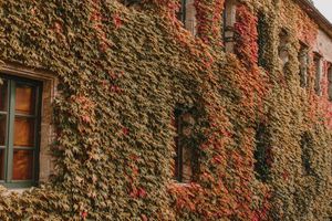 Alojamiento - Hotel Spa Relais & Chateaux A Quinta da Auga