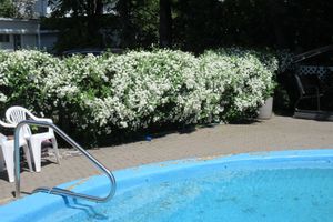 Alojamiento - Gîte Saint-Laurent