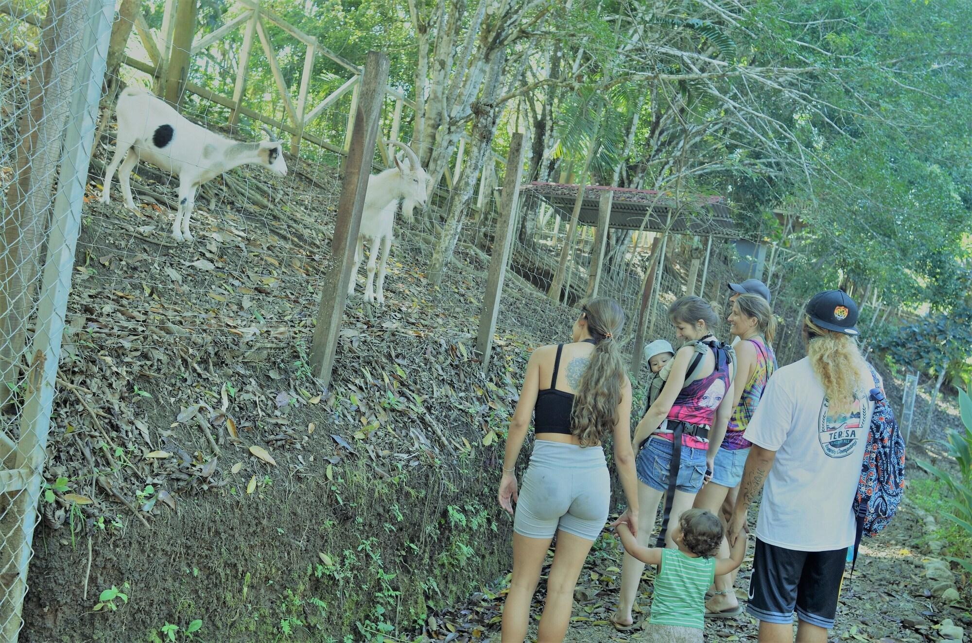 Instalaciones Recreativas Hotel Nature Lodge Finca los Caballos