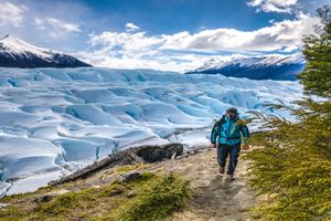Actividad - Safari Azul: paseo cerca del Perito Moreno