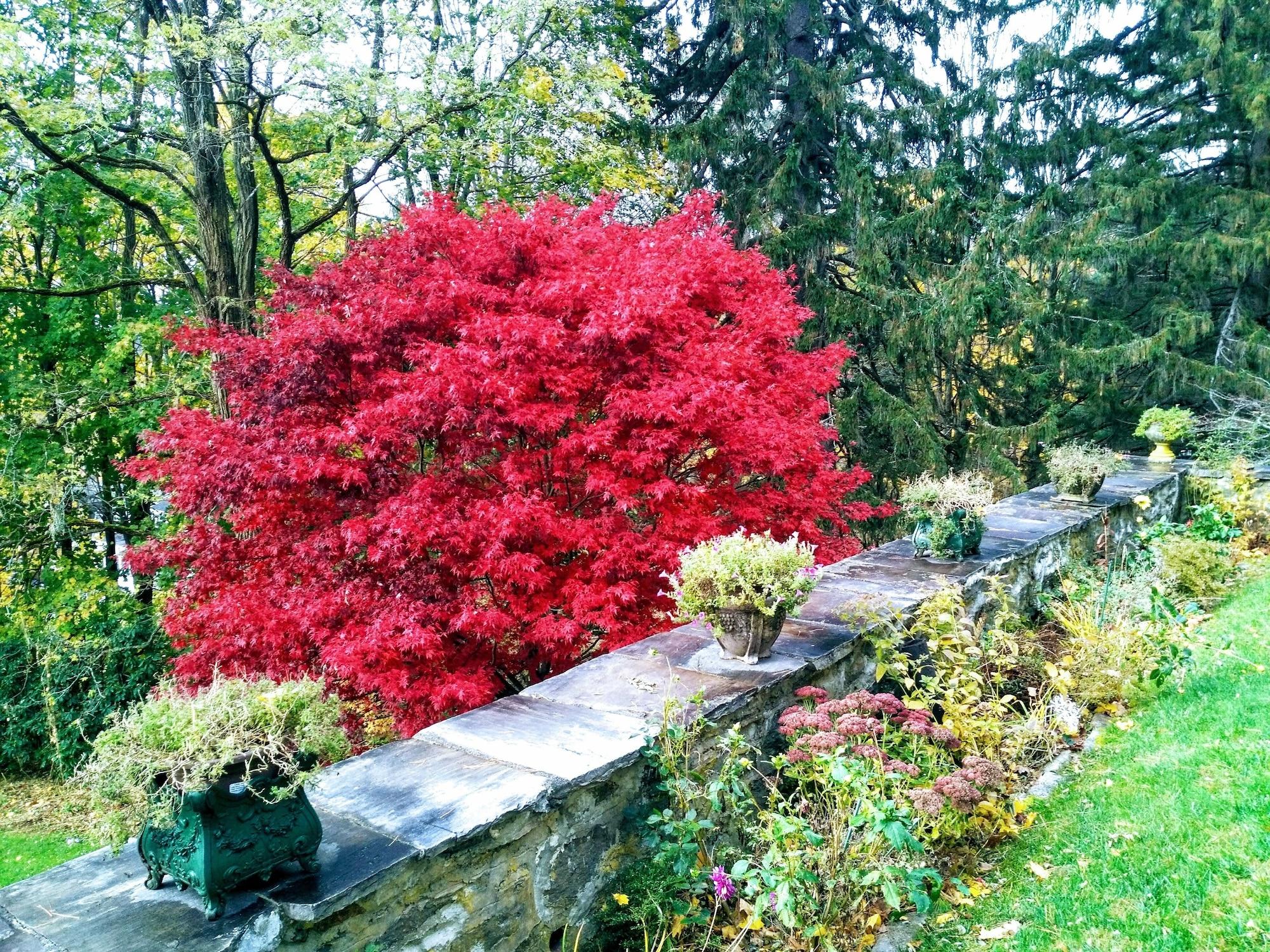 Equipamiento de Habitación Whistler's Inn Bed & Breakfast