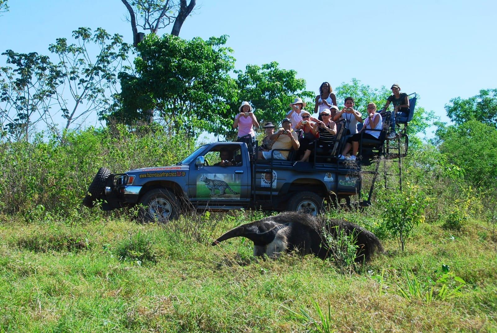 Actividades Recreativas Fazenda San Francisco Agro Ecoturismo