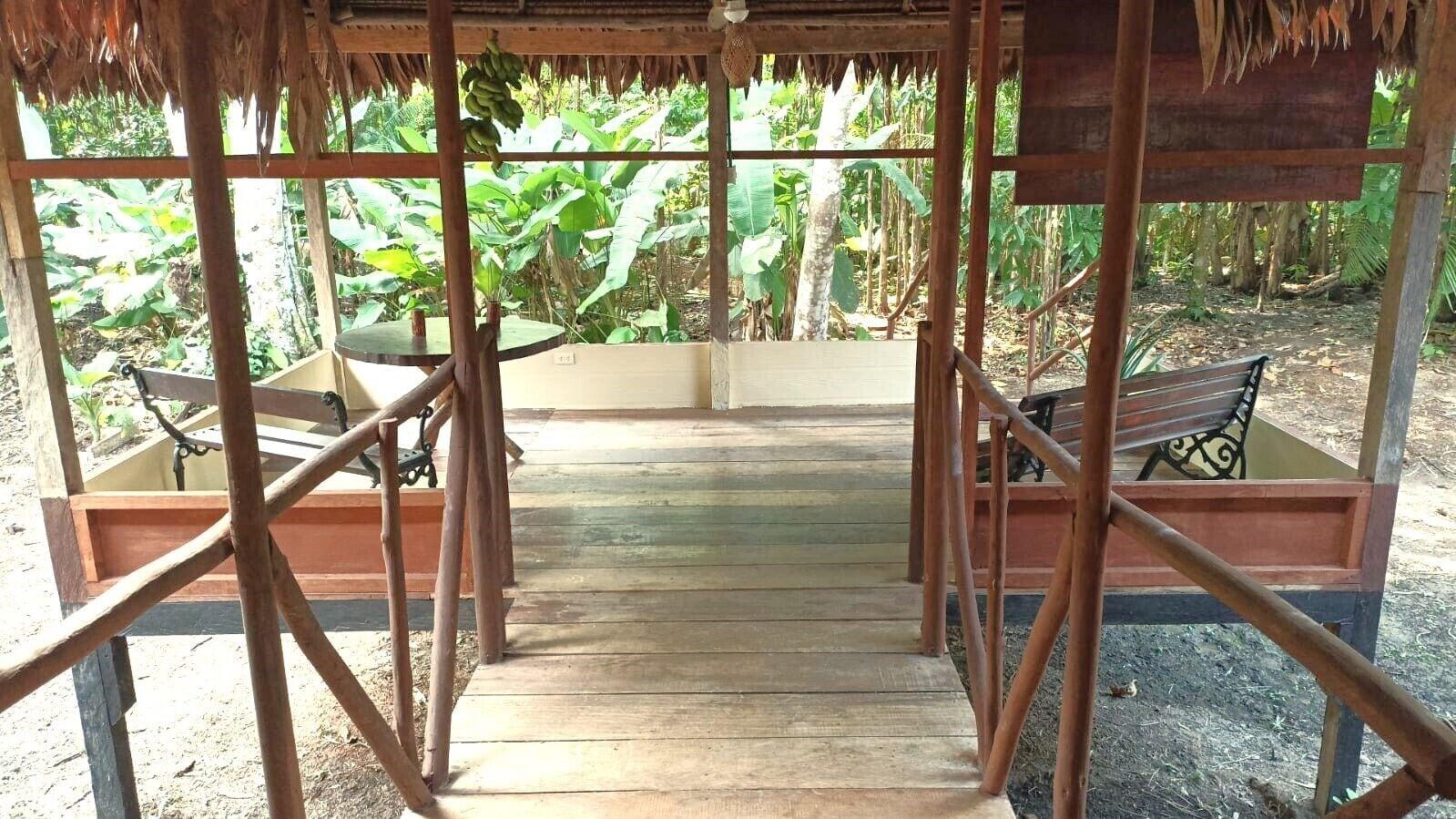 Vista Exterior Avatar Amazon Lodge & Canopy Park