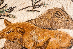 Actividad - Tour por el Museo del Bardo y la Medina de Túnez