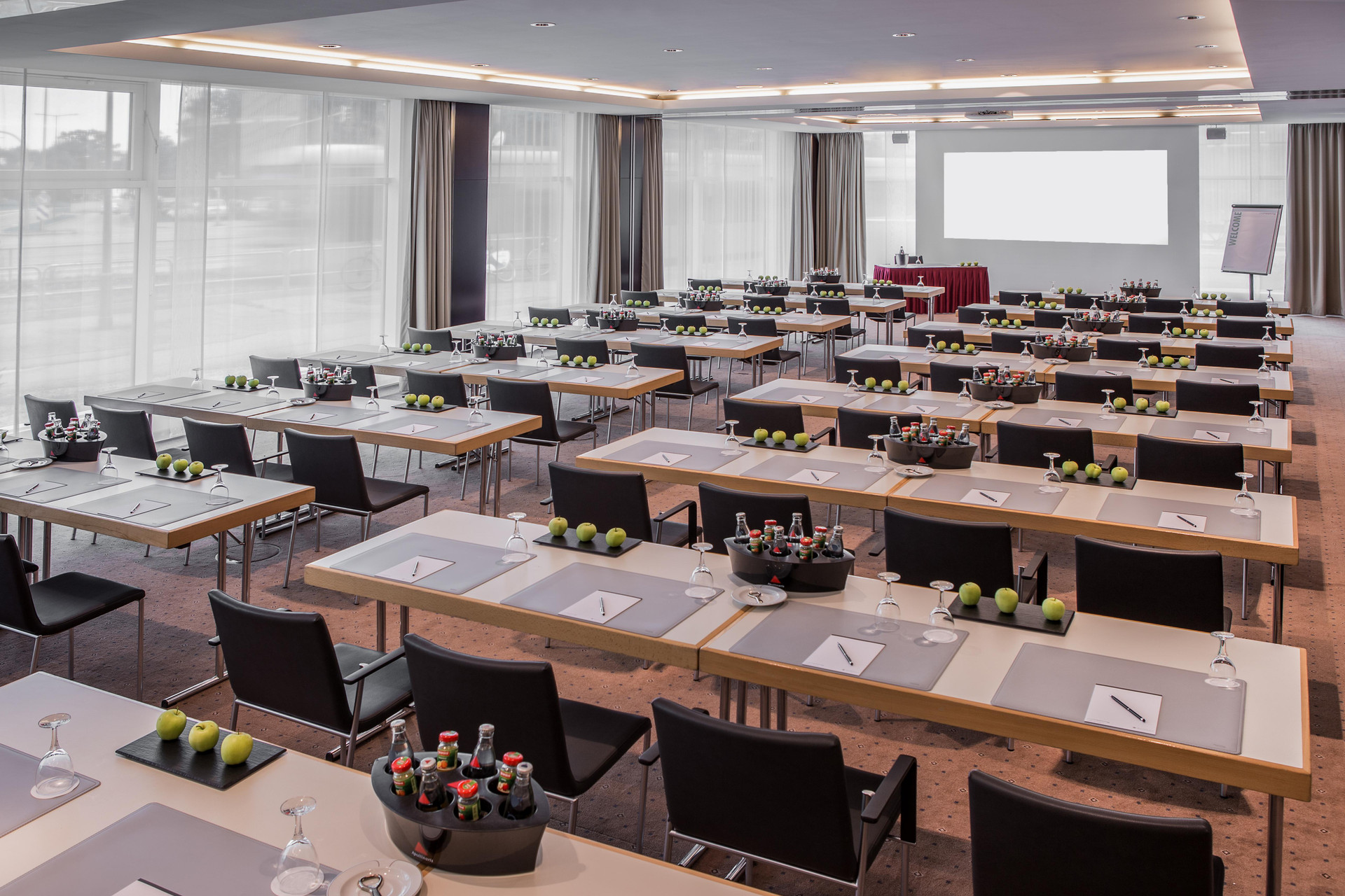 Sala de Reuniones Barceló Dresden Newa