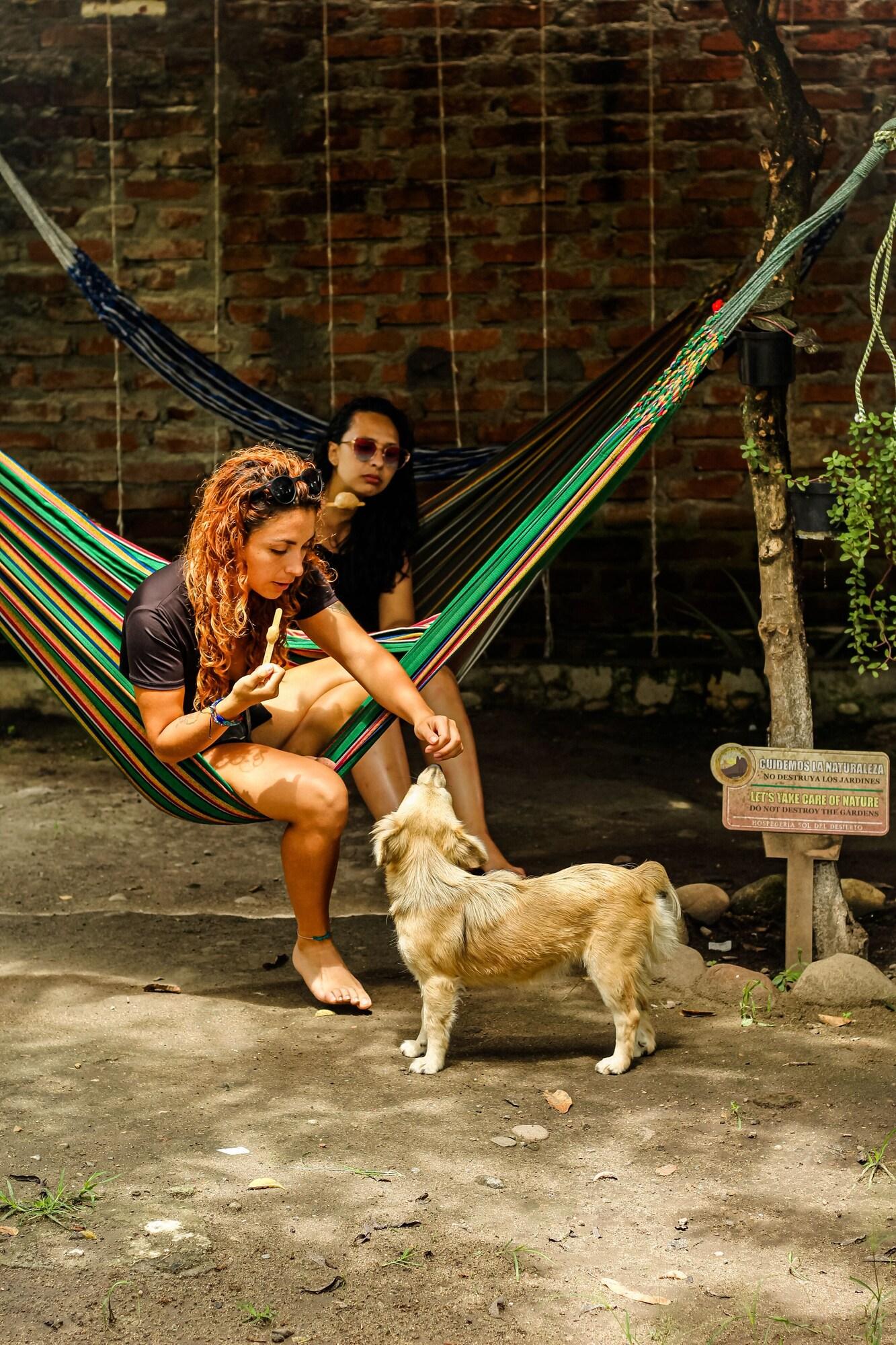 Comodidades del Alojamiento Hospedería Sol Del Desierto - Hostel