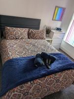 Alojamiento - Kirkstead Guest House
