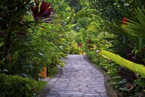 Alojamiento - Nayara Gardens