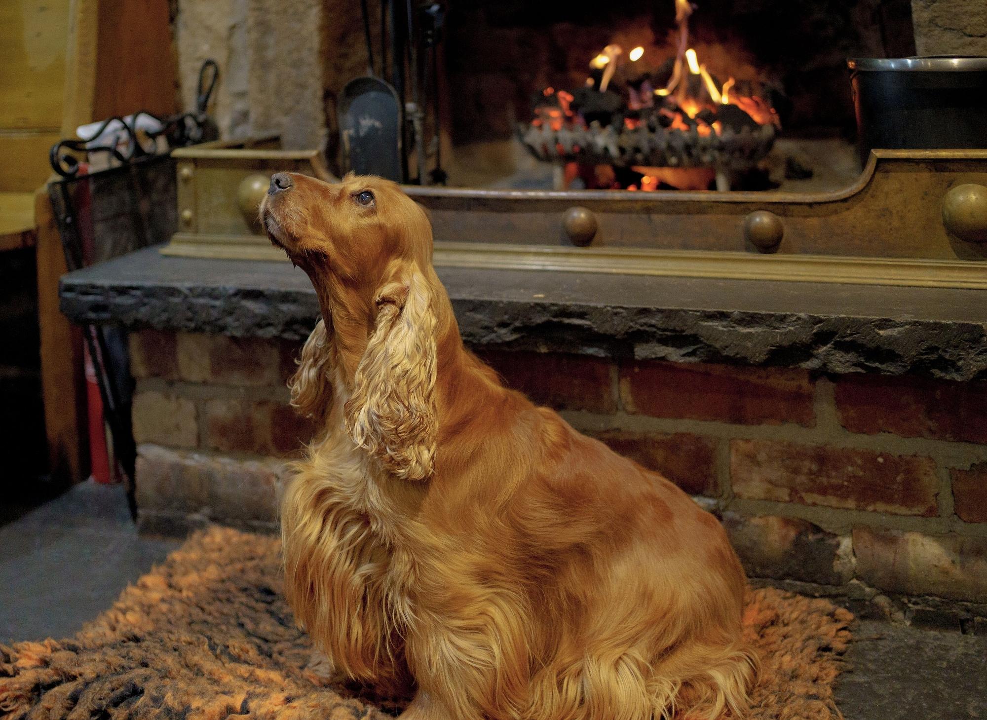 Bar/Salón Oyster Inn