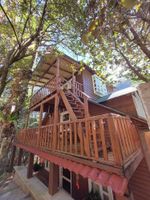 Alojamiento - HOTEL LA CABAÑA DEL BOSQUE