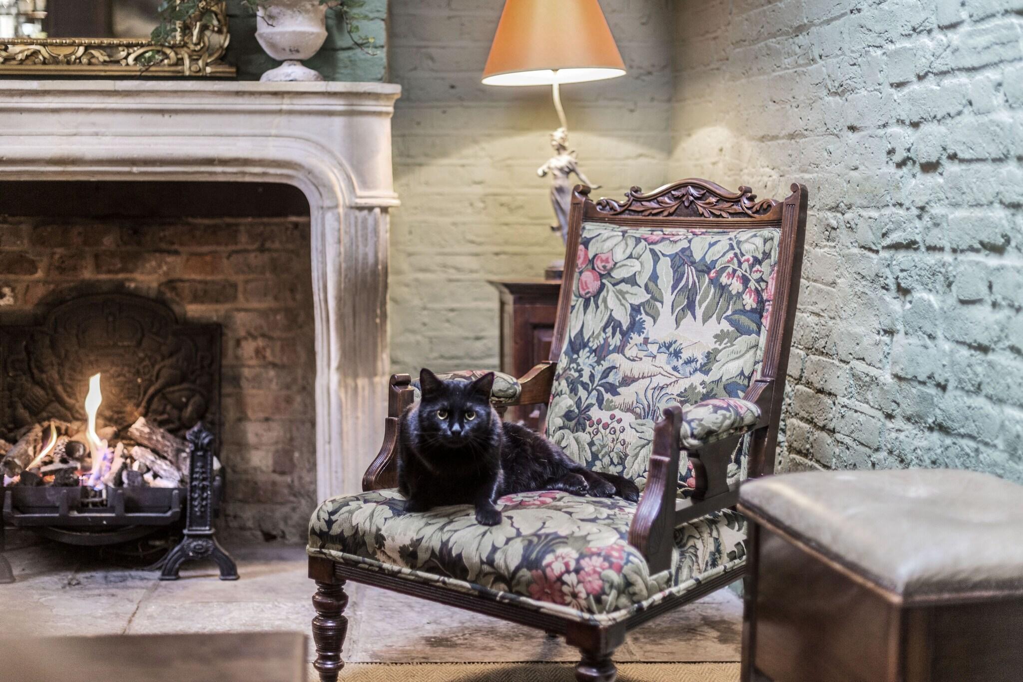 Vista Lobby The Rookery Hotel