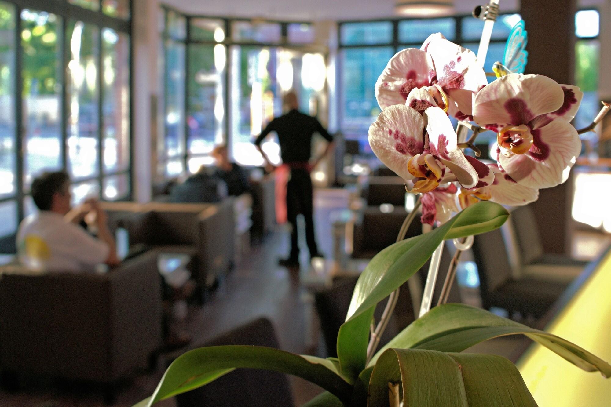 Vista Lobby H24 Hoteltow