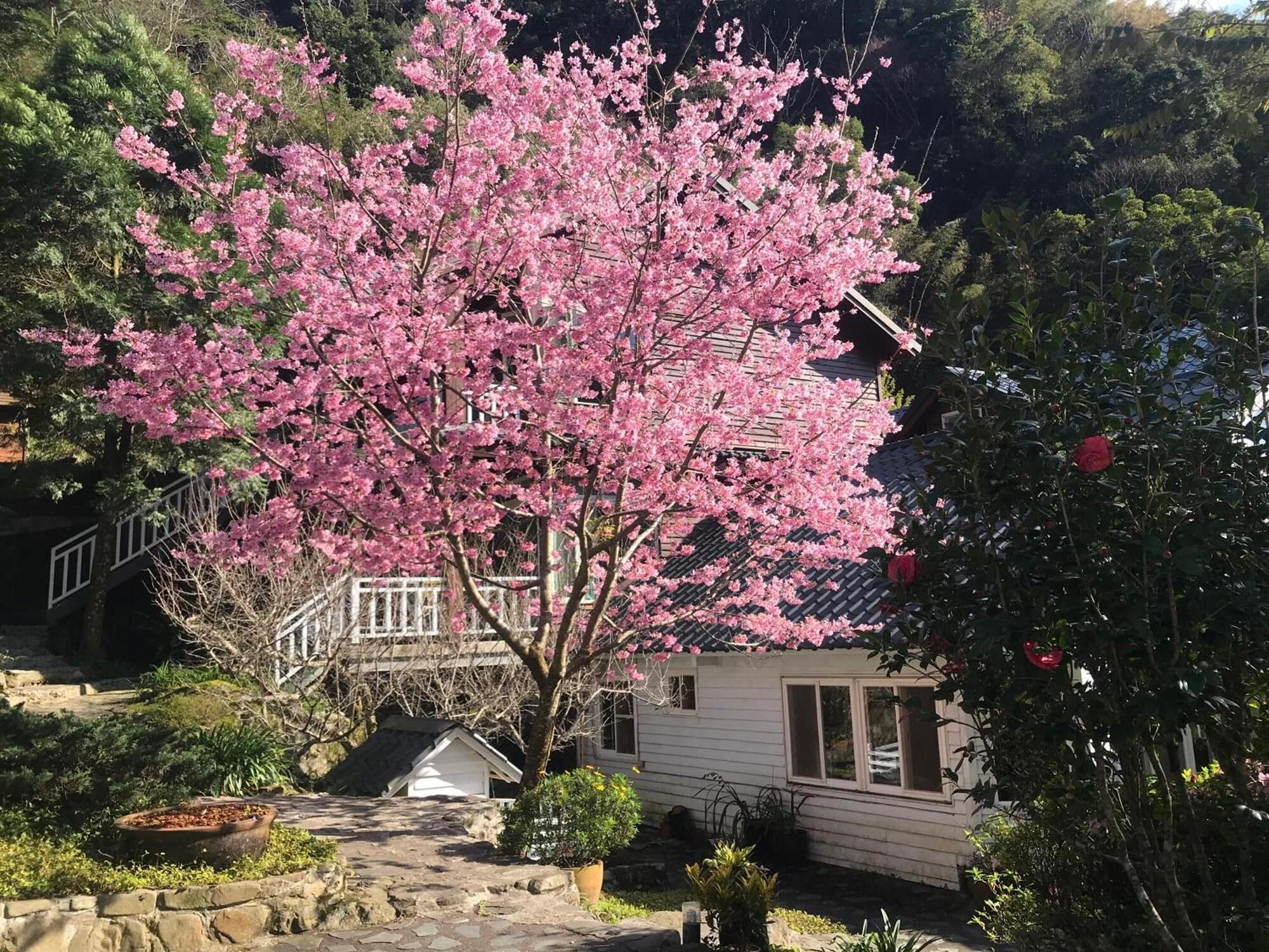 Comodidades del Alojamiento Fuyam Tourist Home