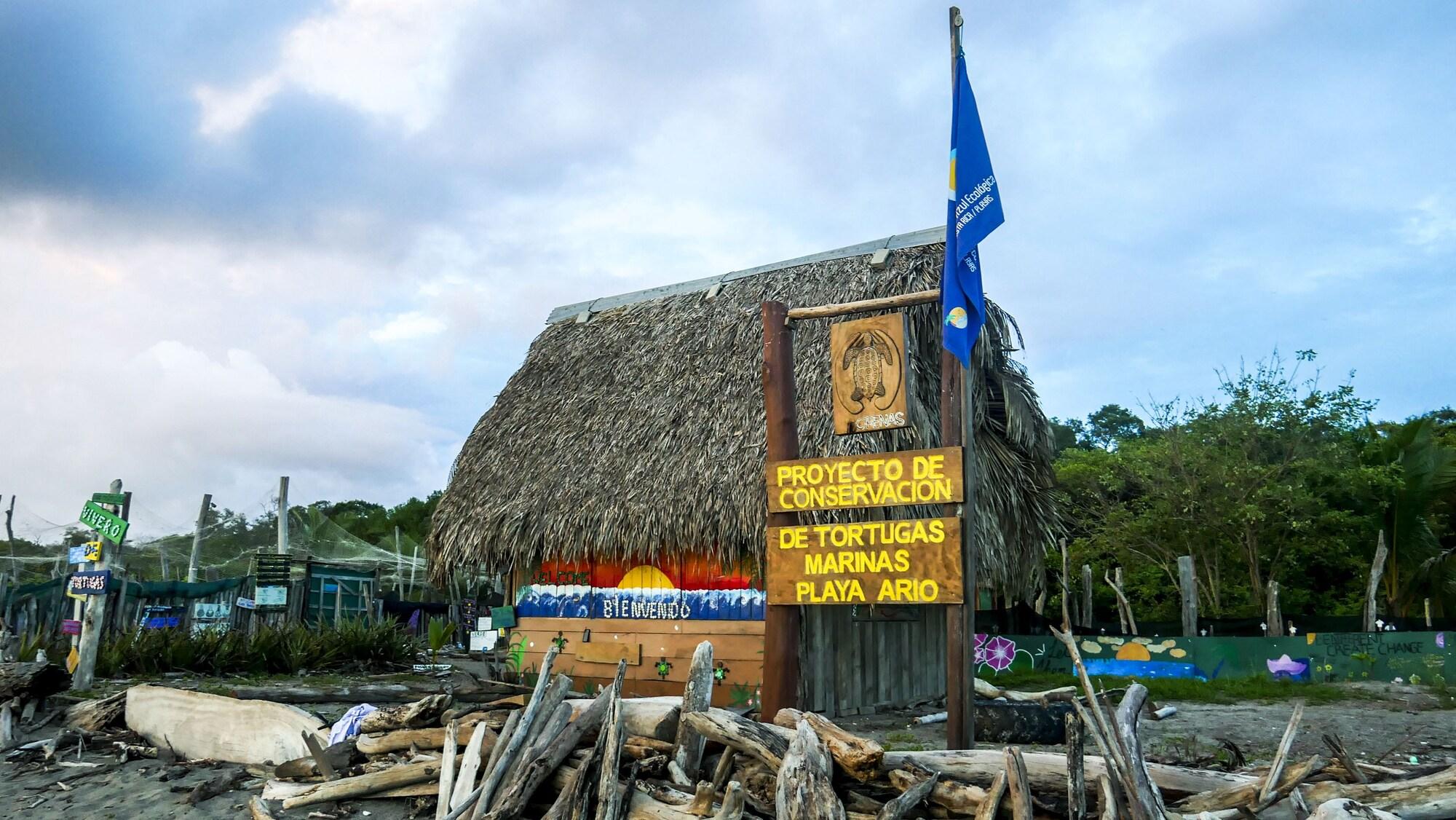 Playa Cirenas Lodge and Regeneration Hub